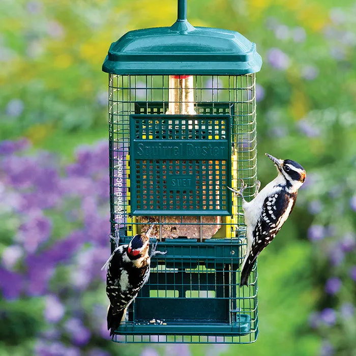 Brome Squirrel Buster Suet Feeder