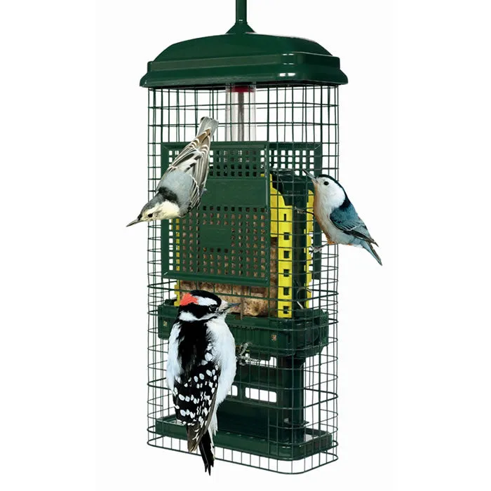 Brome Squirrel Buster Suet Feeder