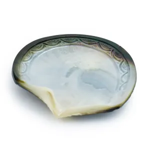 Carved Blacklip Tahitian Pearl Oyster Shell