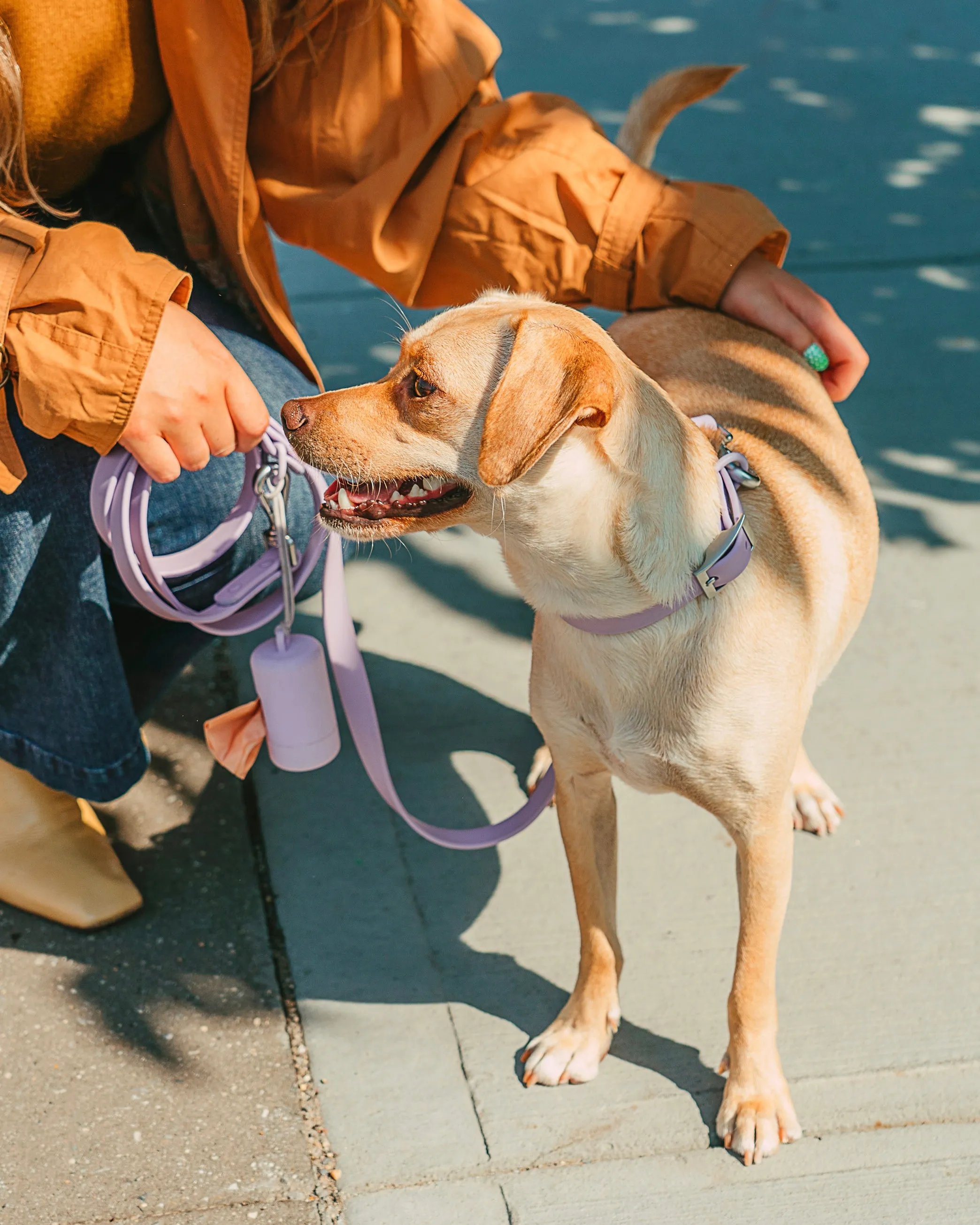 Collar Walk Kit