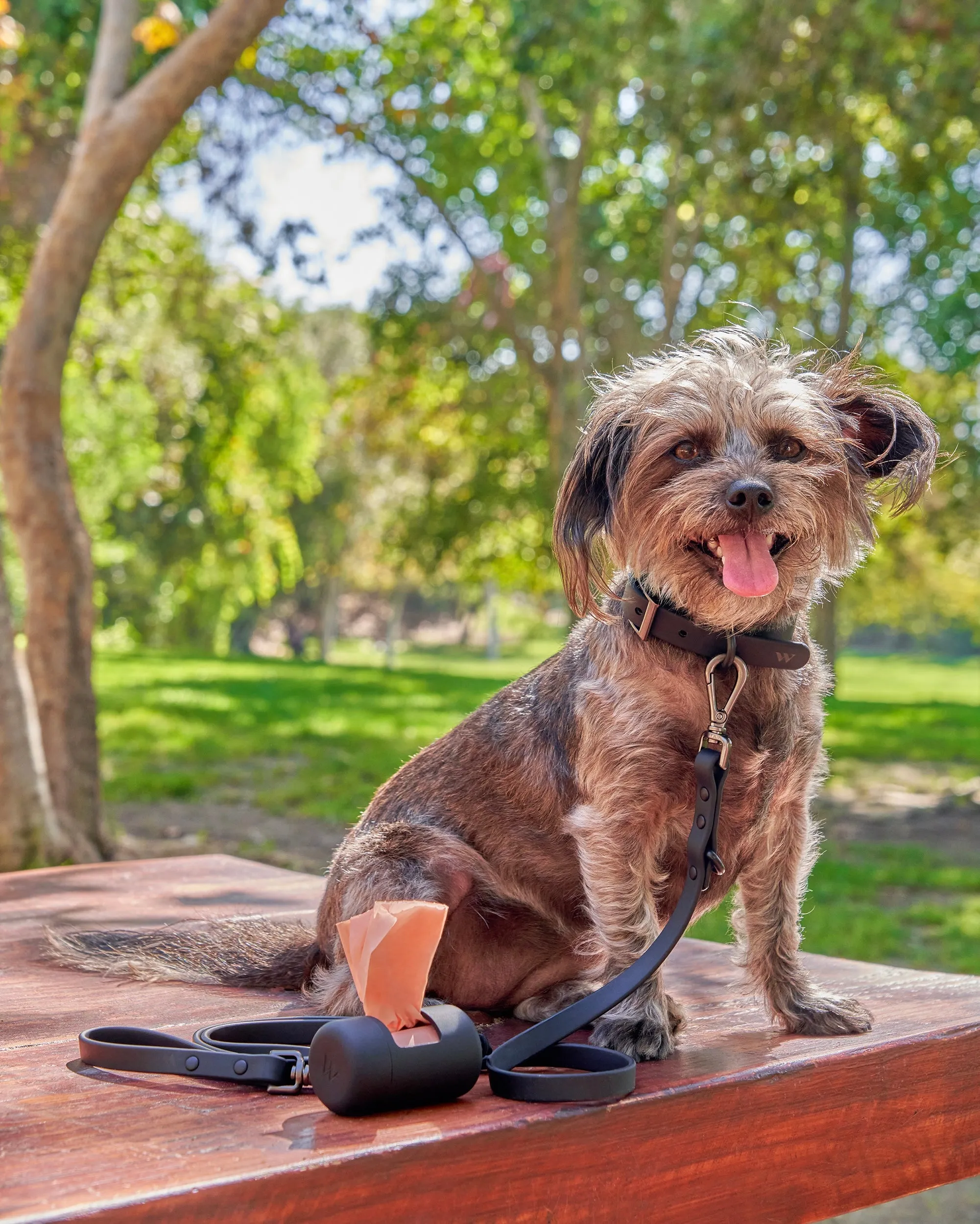 Collar Walk Kit