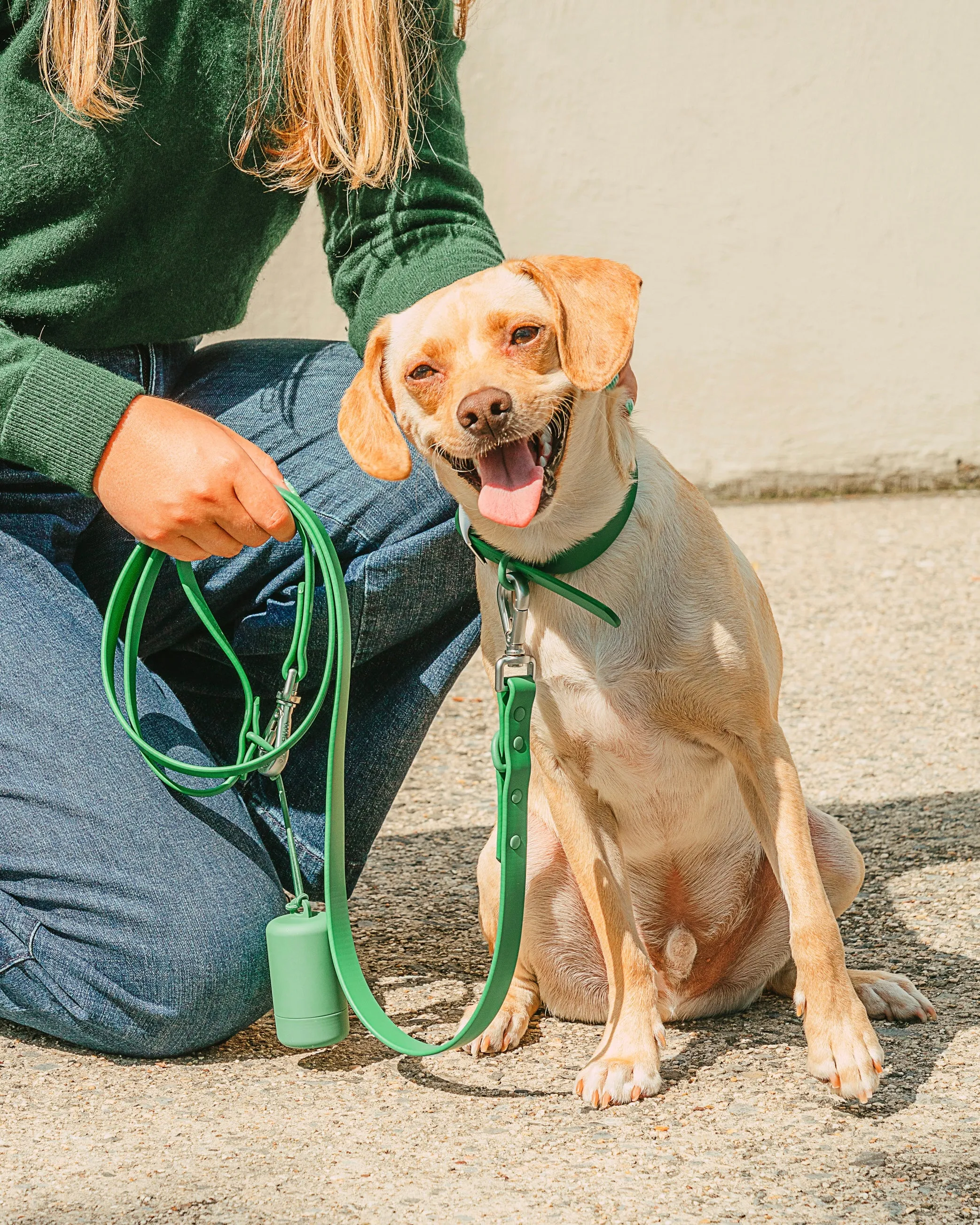 Collar Walk Kit