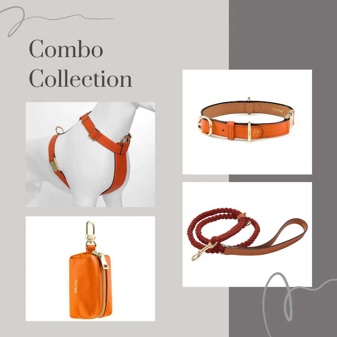 Exquisite Leather Dog Leash - Saffron