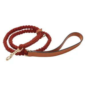 Exquisite Leather Dog Leash - Saffron