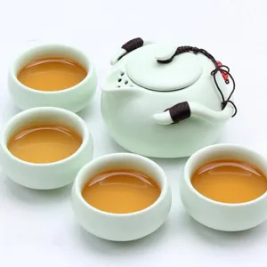 Exquisite Tea Party Kettle and Cup Set