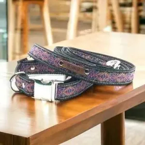 Finnigan's Fabulous Designer Dog Collar Set