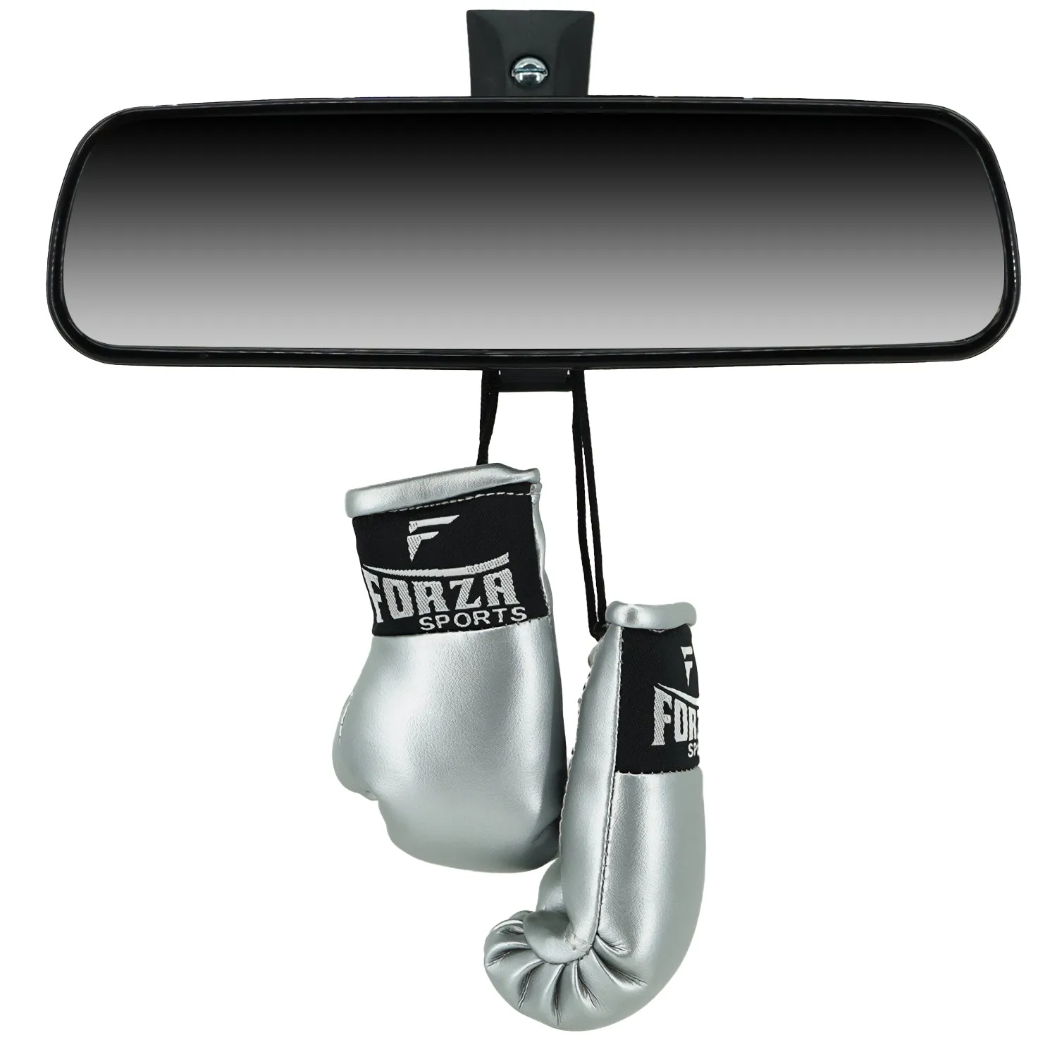 Forza Sports Mini Boxing Gloves