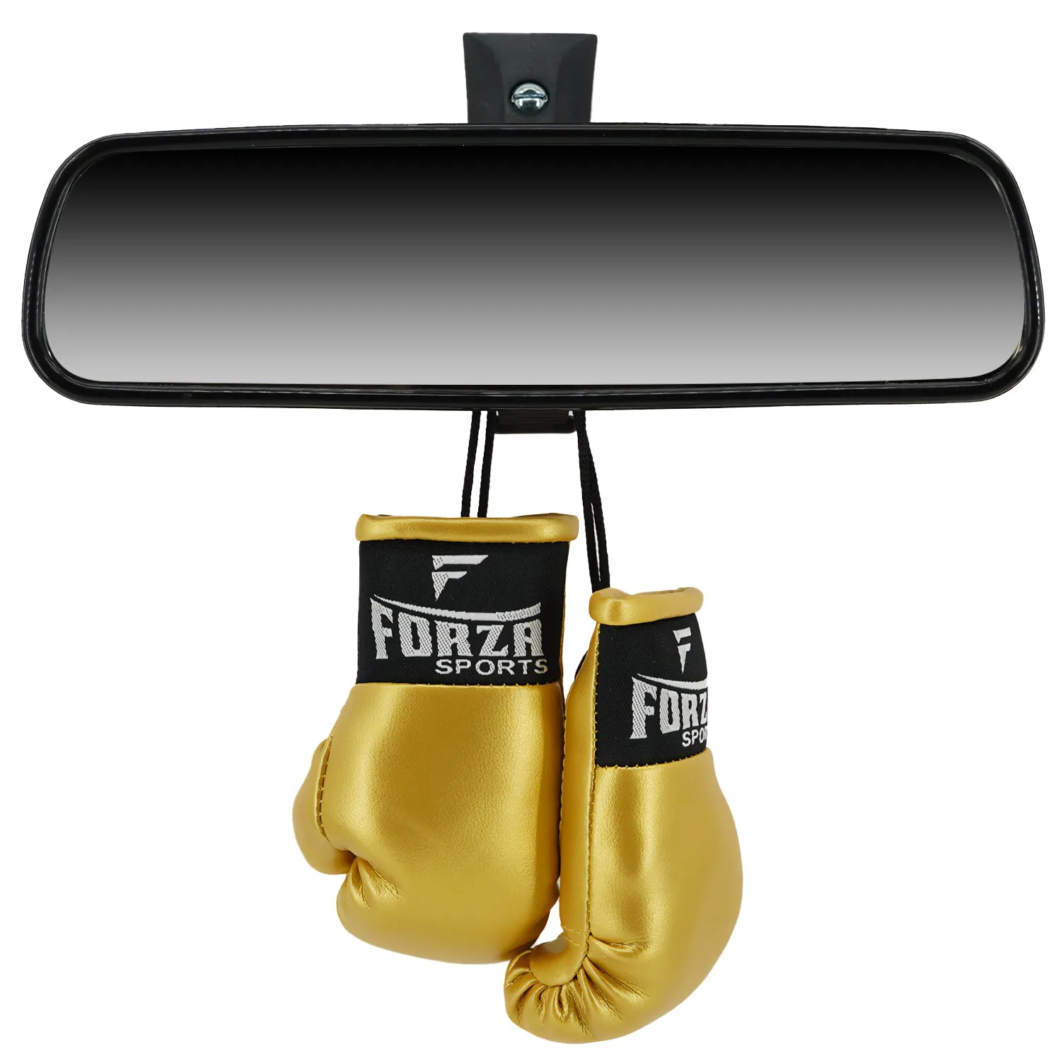 Forza Sports Mini Boxing Gloves