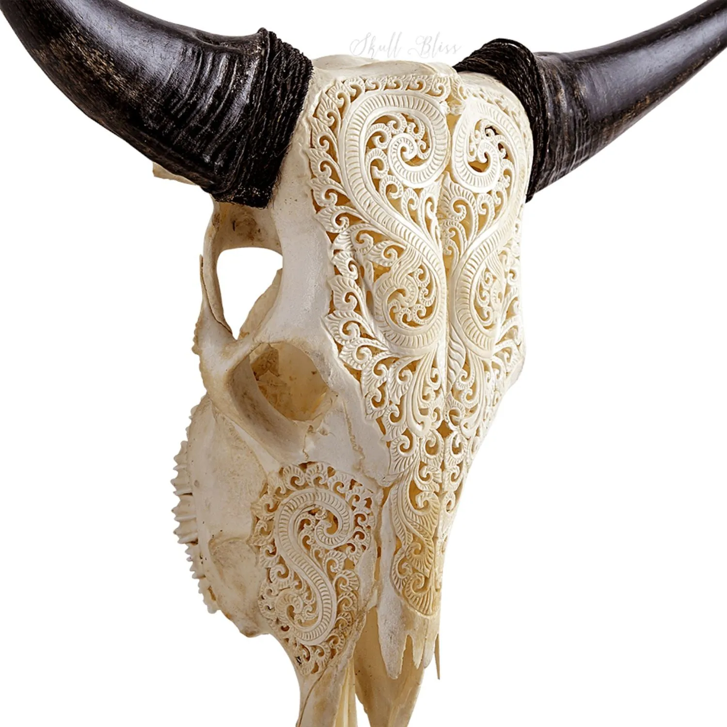 Hand Carved Cow Skull - Heart