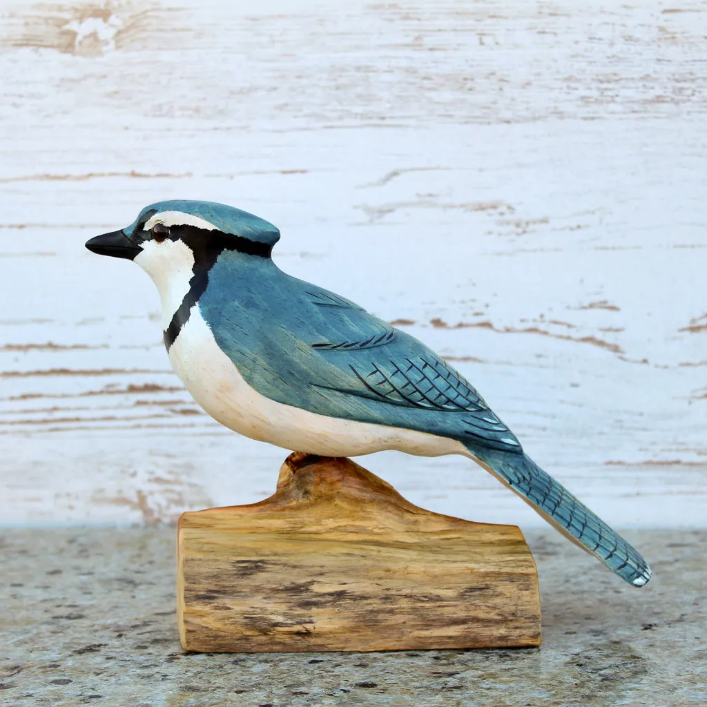 Hand Carved Male Bluejay Bird Life Sized Perched on Wood Stand