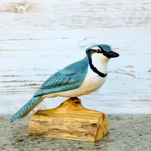 Hand Carved Male Bluejay Bird Life Sized Perched on Wood Stand