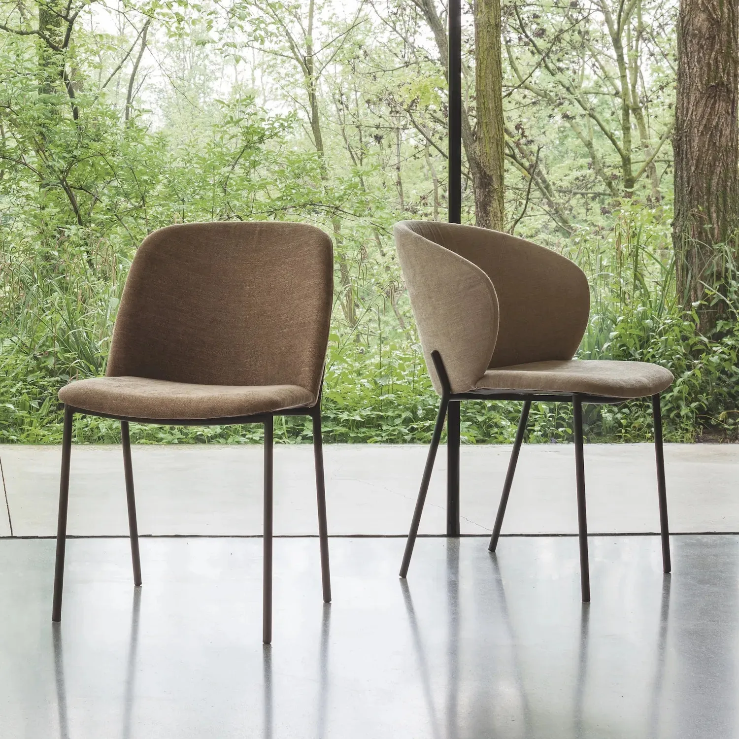 Petal - Luxurious Dining Chairs