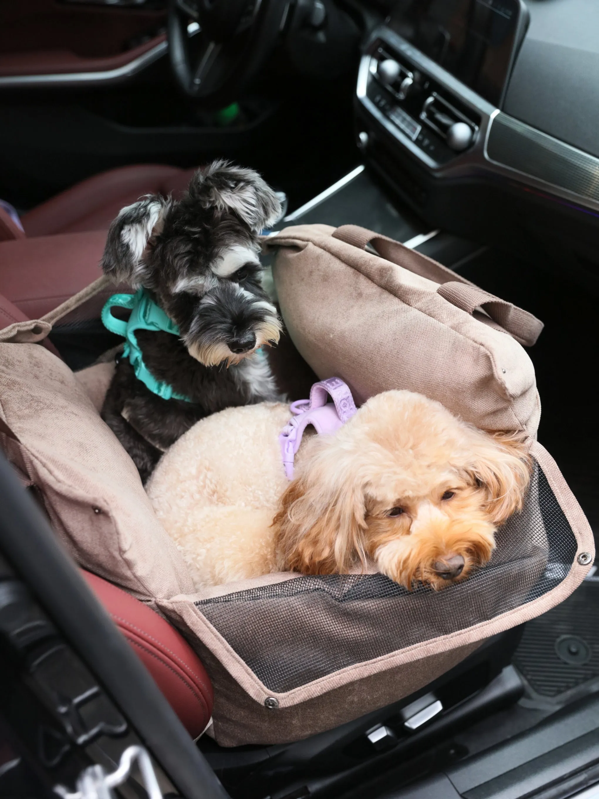 Puff Guard Dog Car Seat - Camel