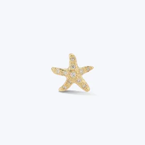 Starfish Studs